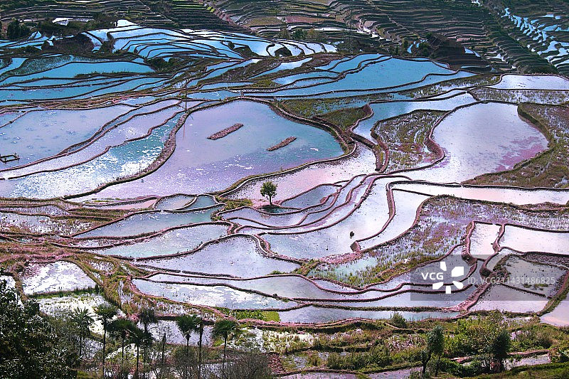 哈尼梯田·蓝色碎冰图片素材