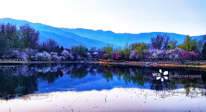 北京植物园风光美景图片素材