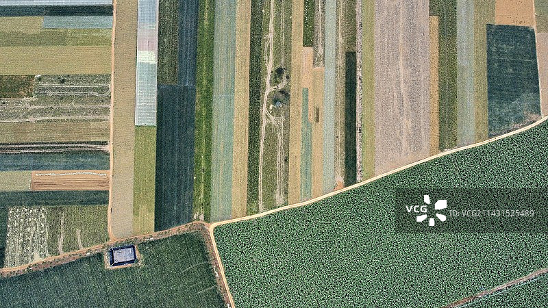 航拍徐闻菠萝的海图片素材