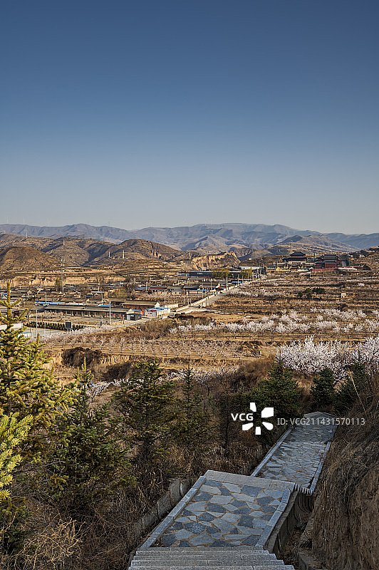 大杏之乡赵庄村图片素材