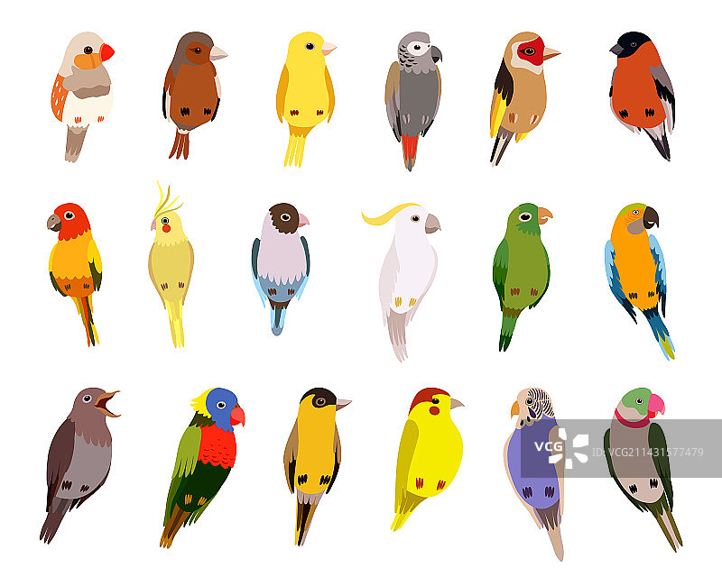 栖息的鸟类图片素材