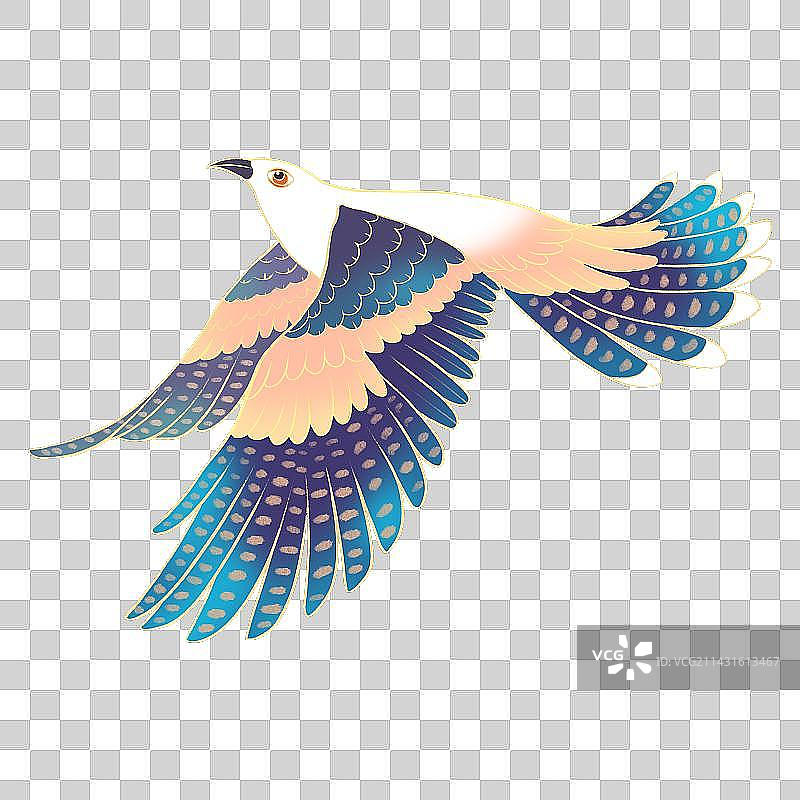 国潮风展翅飞翔的野生动物布谷鸟图片素材