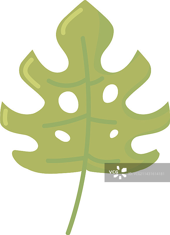 热带树叶图标图片素材