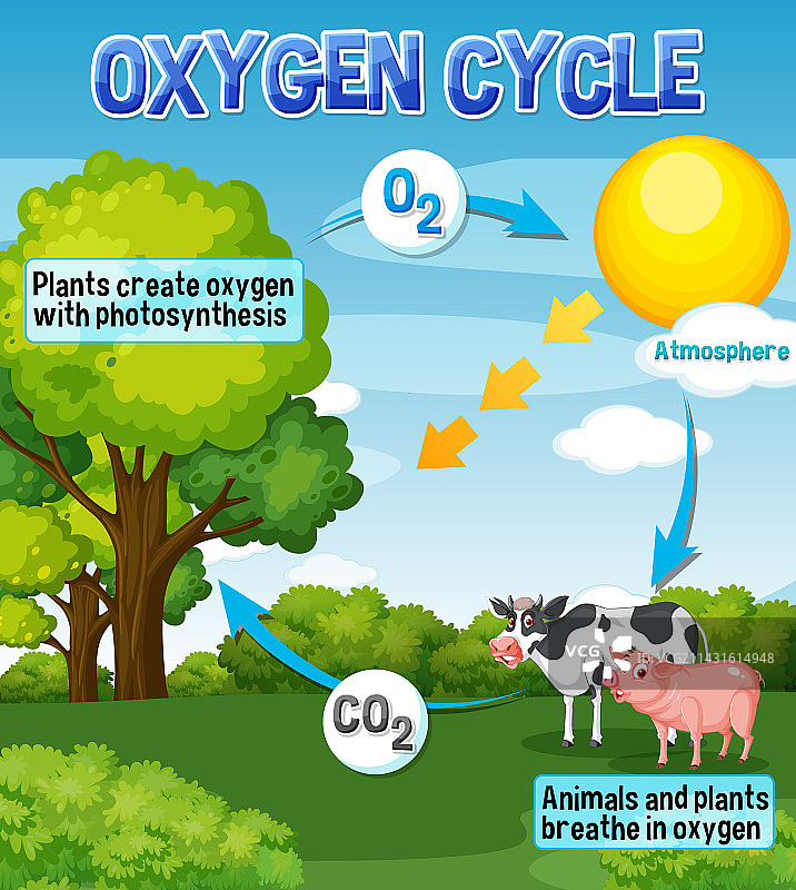 科学教育氧气循环图图片素材