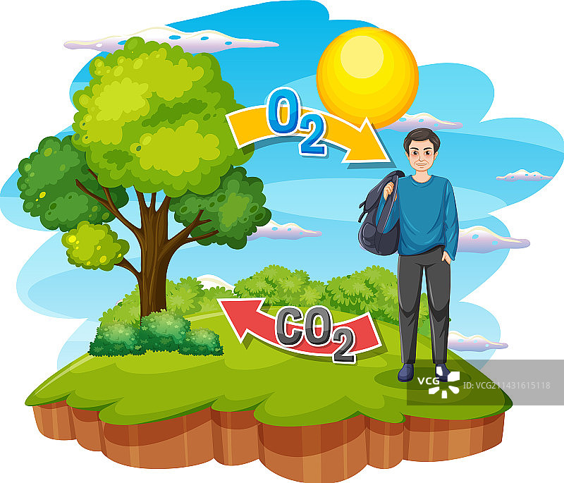 科学教育氧气循环图图片素材