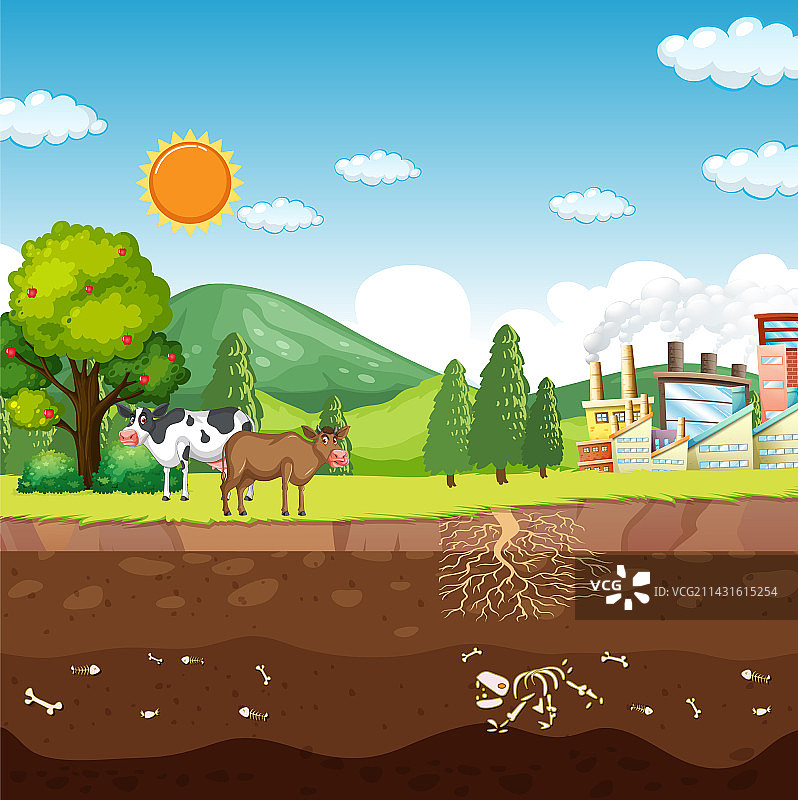 科学教育中的碳循环概念图片素材