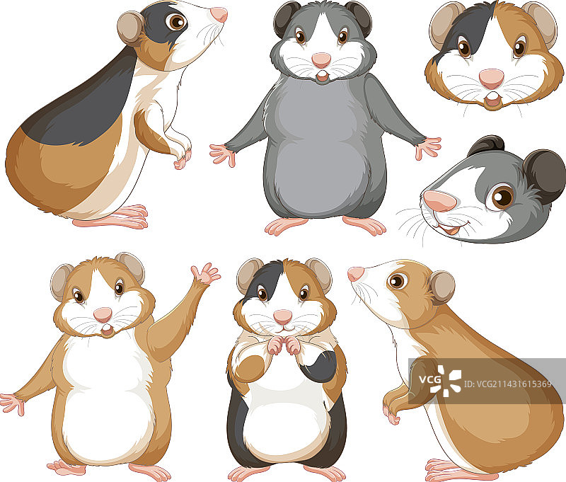 卡通仓鼠啮齿动物角色合集图片素材