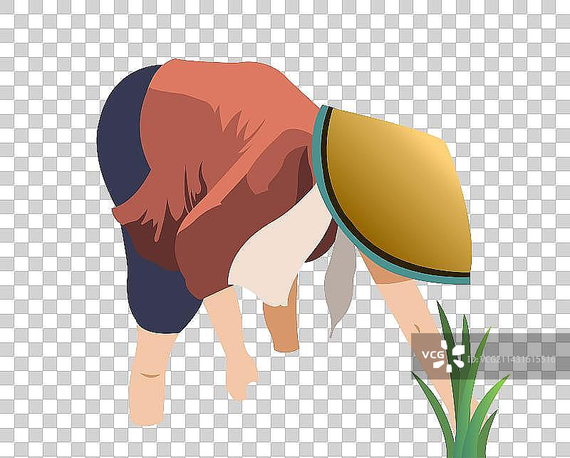 谷雨插秧图片素材