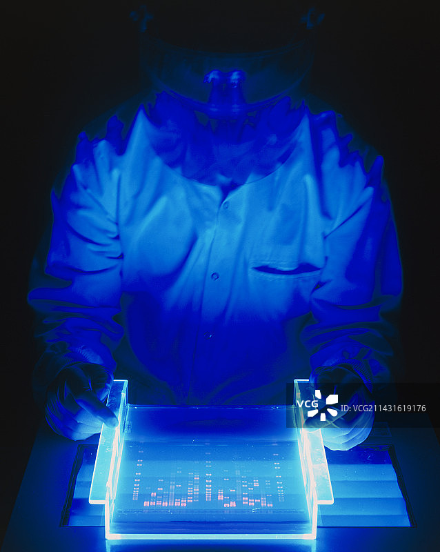 研究员检查染色和荧光DNA凝胶图片素材
