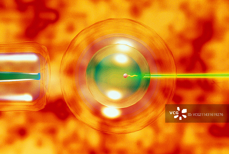 体外受精图片素材