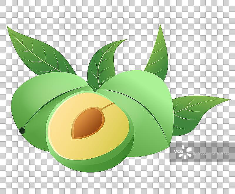 传统节气芒种水果青梅图片素材