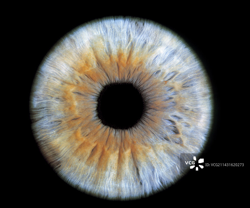 电脑增强的蓝灰色眼睛虹膜图片素材