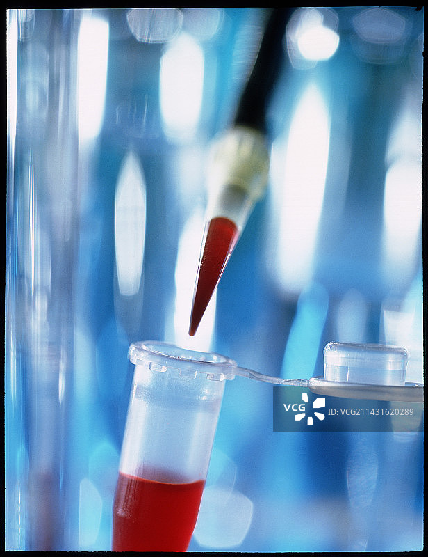 血液样本滴入微型试管图片素材