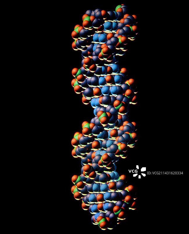 DNA双螺旋结构计算机图形图片素材