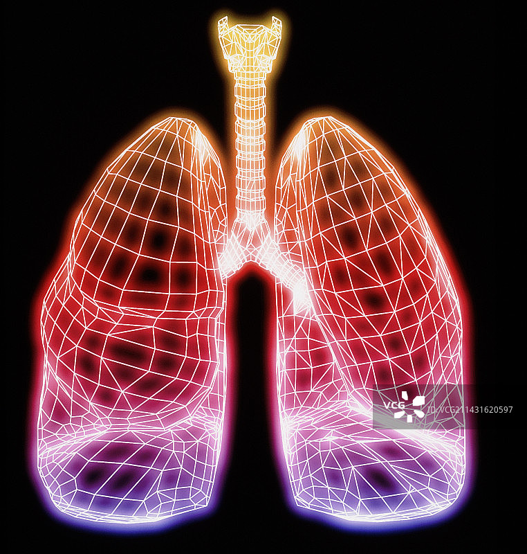健康人肺部轮廓的电脑艺术作品图片素材