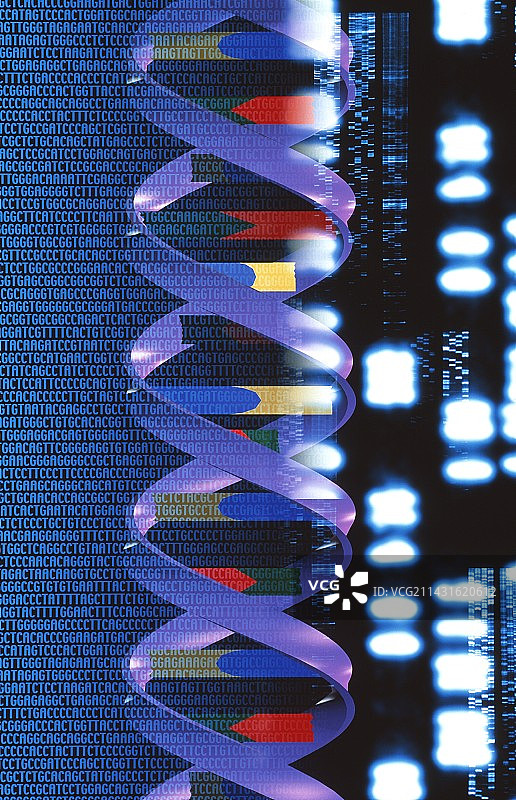 具有遗传序列的DNA分子艺术作品图片素材