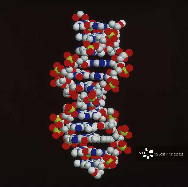 DNA分子图片素材