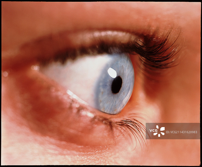 女性健康的蓝色眼睛特写图片素材