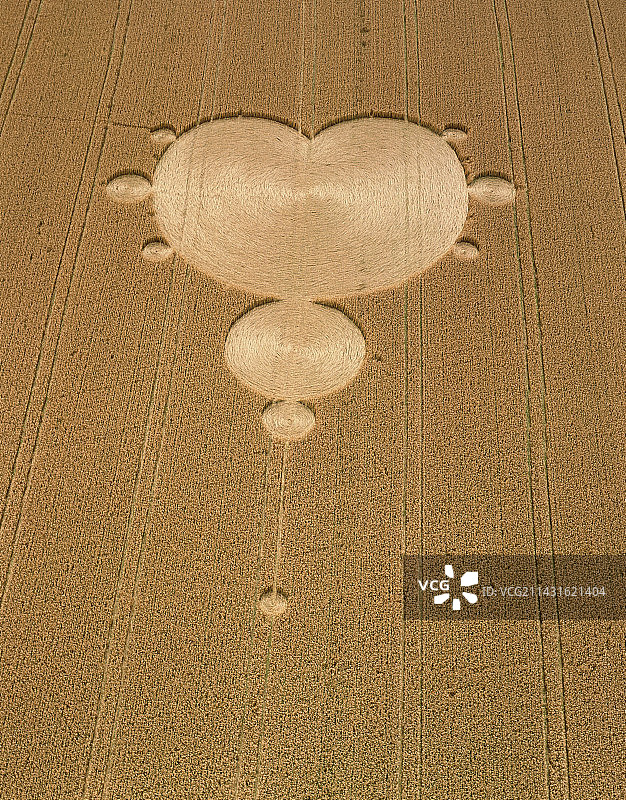 曼德勃罗集形式的农作物图案图片素材