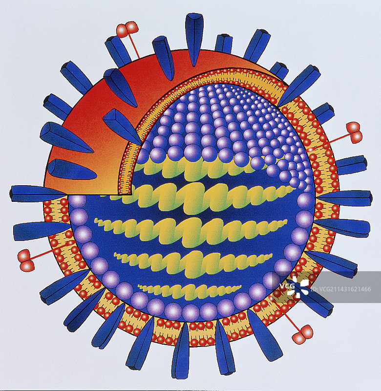 流感病毒艺术作品图片素材