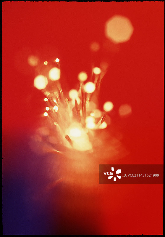 传导光的光纤束图片素材