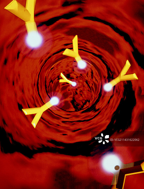 免疫球蛋白（IgG）的计算机图形图片素材