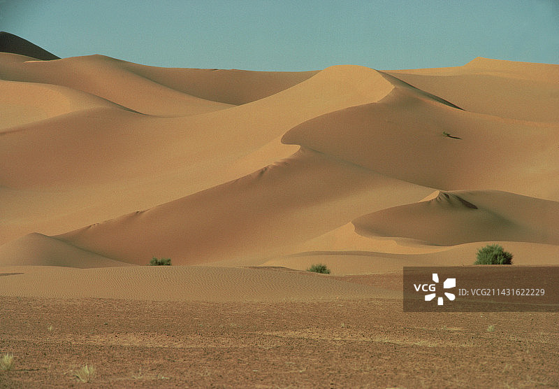 阿尔及利亚的沙丘图片素材