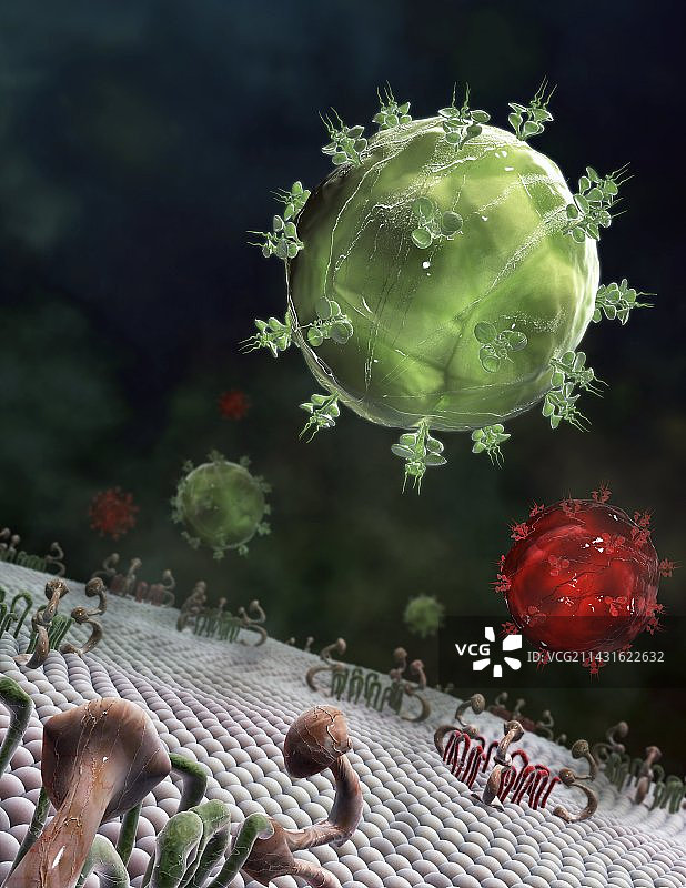 HIV病毒颗粒，艺术图图片素材