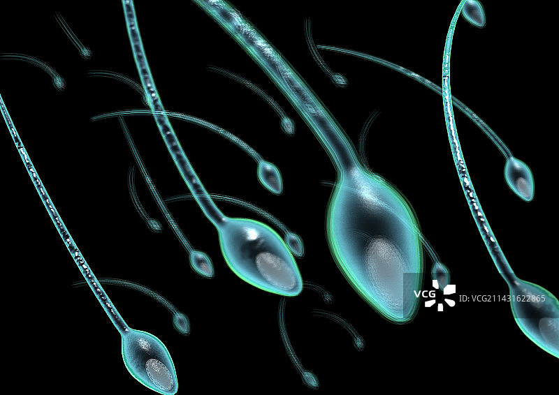 精子细胞，电脑艺术品图片素材