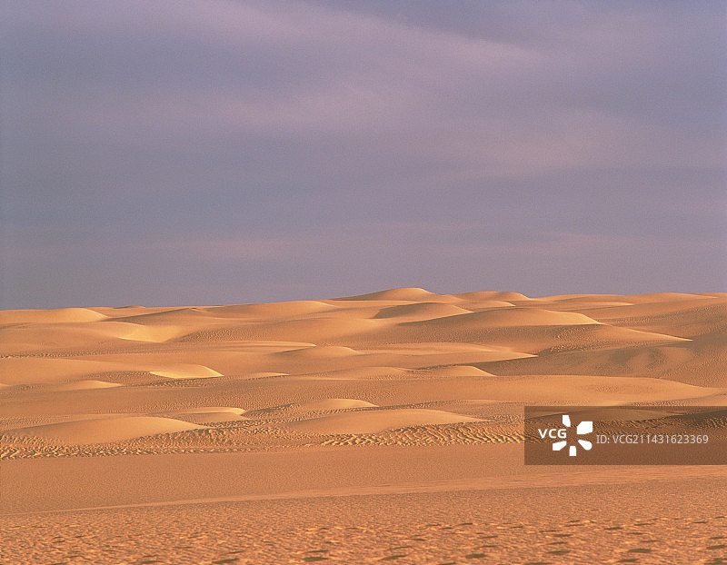 尼日尔的弧形沙丘图片素材