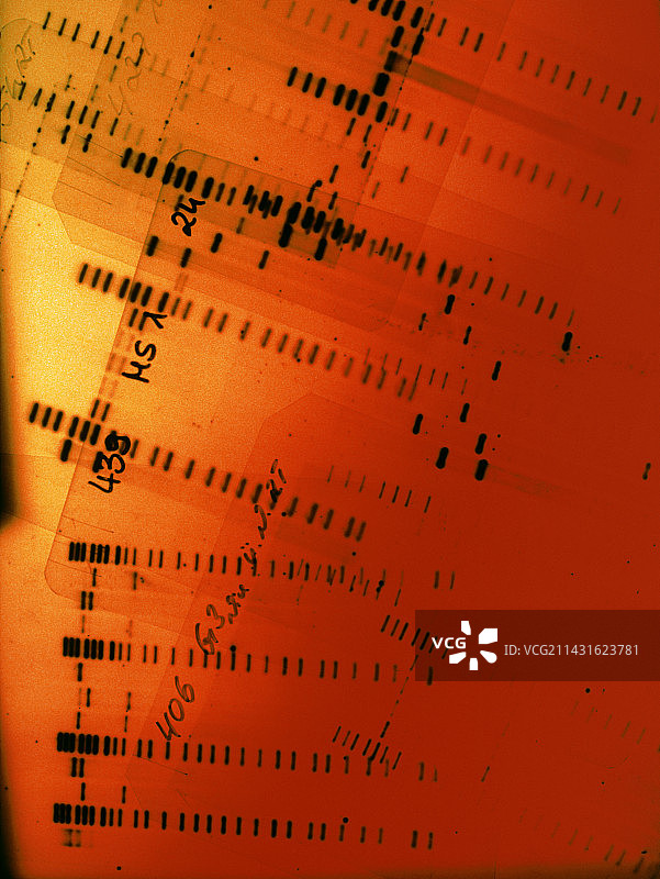 DNA指纹自显影图片素材