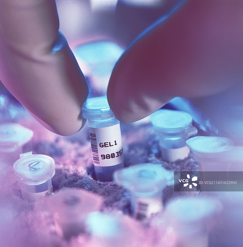 含有DNA片段凝胶的样品瓶图片素材