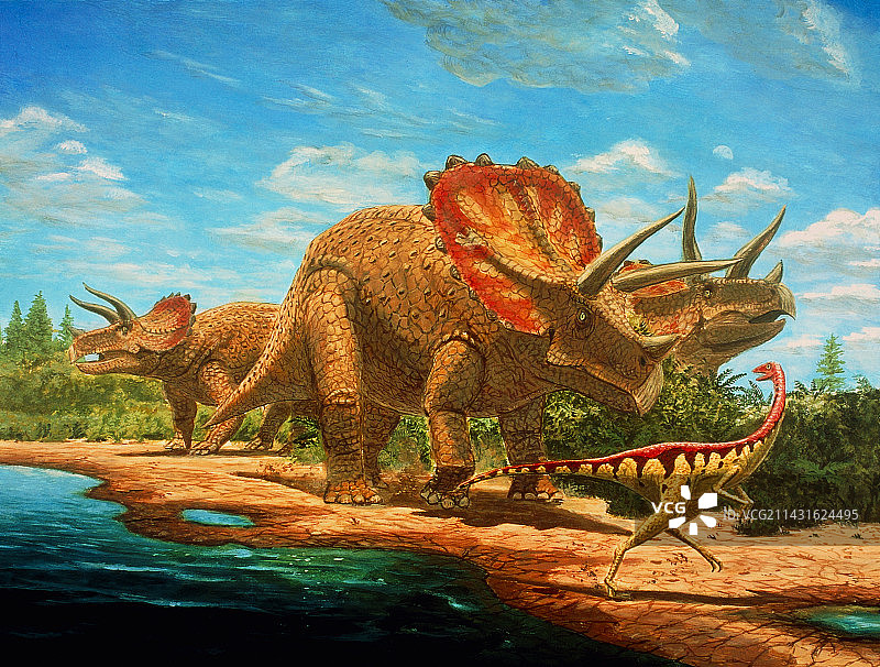 白垩纪恐龙图片素材