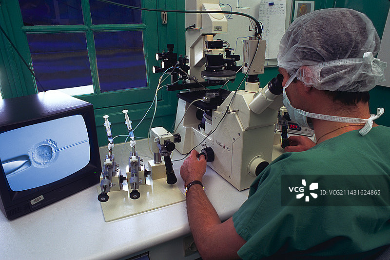 试管婴儿治疗图片素材