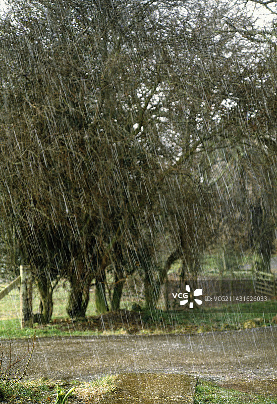 雨夹雪图片素材