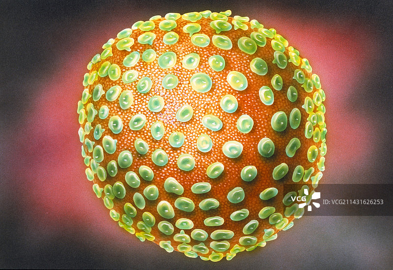 艾滋病毒示意图图片素材