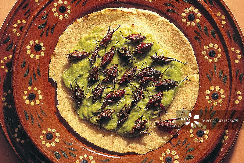 烤蚱蜢鳄梨玉米饼图片素材