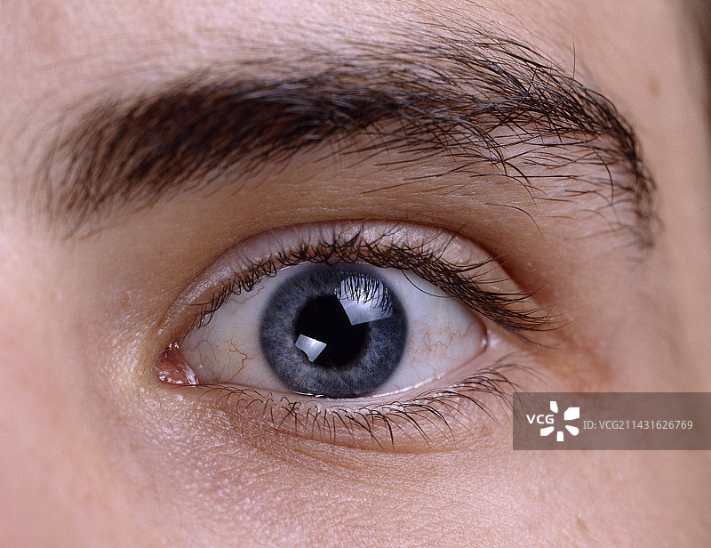 人类的眼睛图片素材