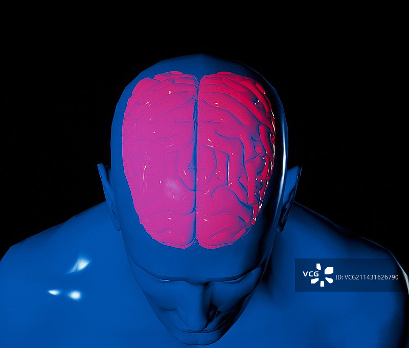 人脑头部电脑图形图片素材