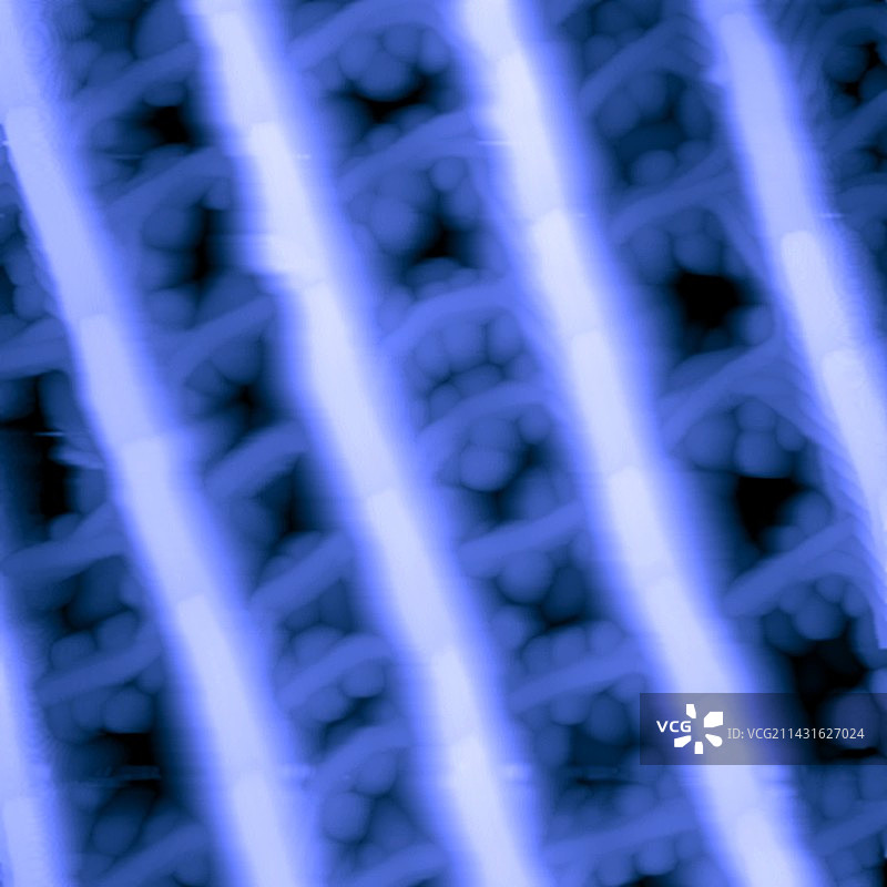 蝴蝶翅膀原子力显微镜图图片素材