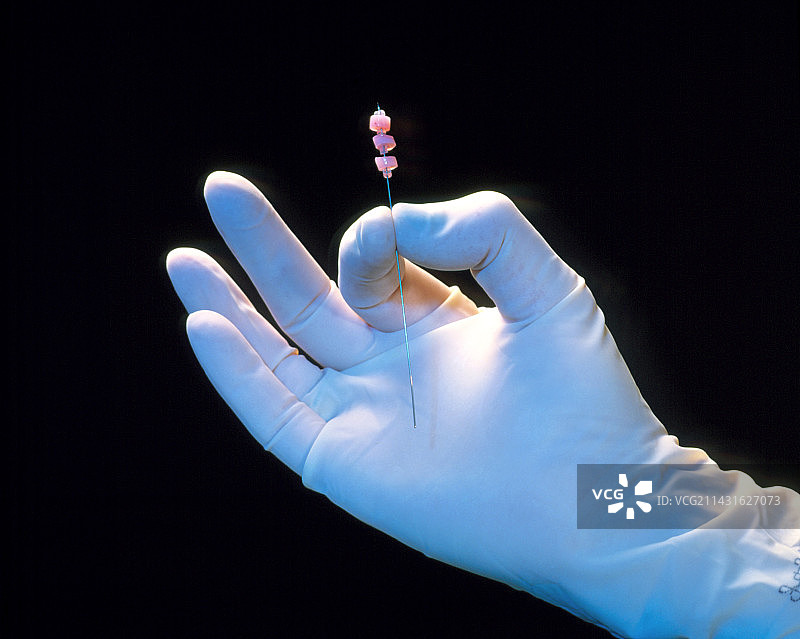 戴手套的手拿着人造软骨片图片素材