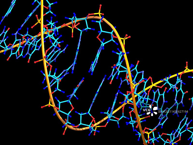 DNA分子图片素材
