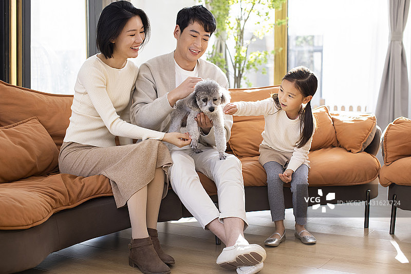 快乐的年轻家庭和宠物狗玩耍图片素材