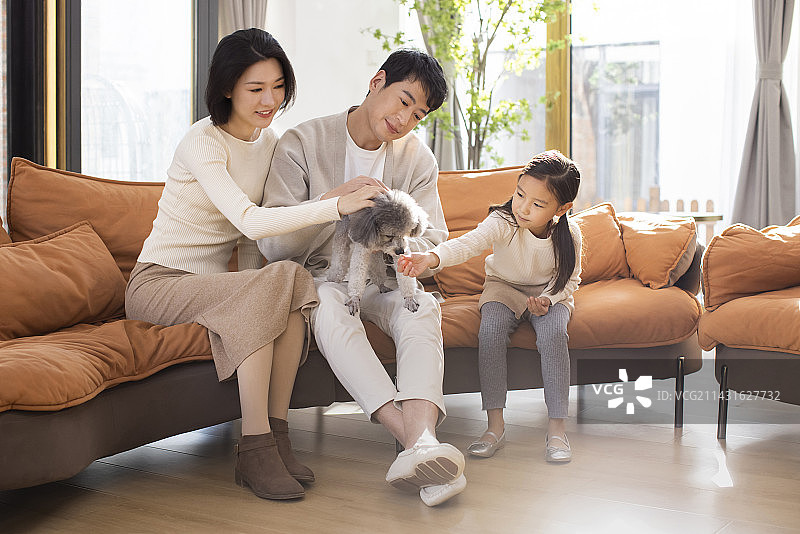 快乐的年轻家庭和宠物狗玩耍图片素材