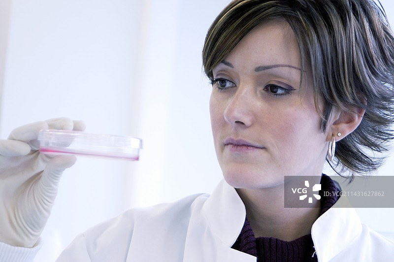 细胞研究图片素材