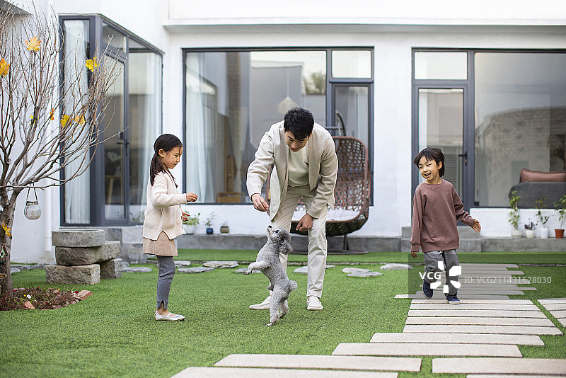 快乐的年轻家庭和宠物狗在庭院里玩耍图片素材