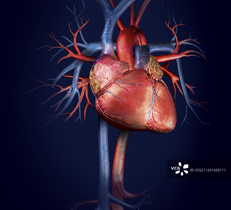 人心，艺术品图片素材