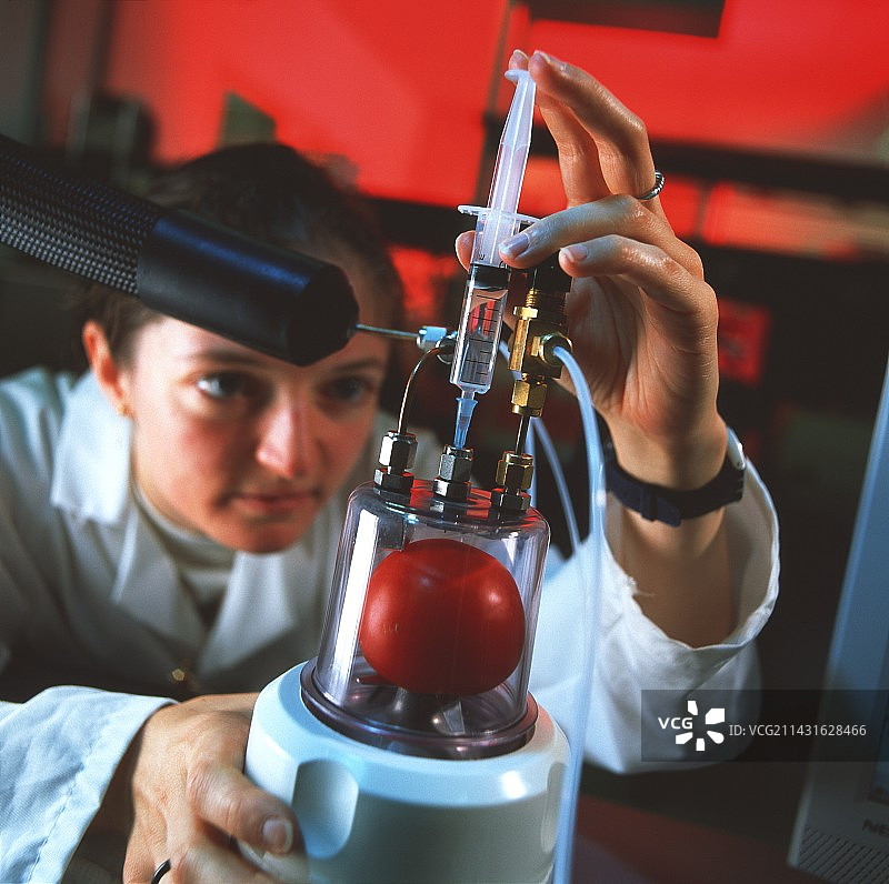 风味研究图片素材