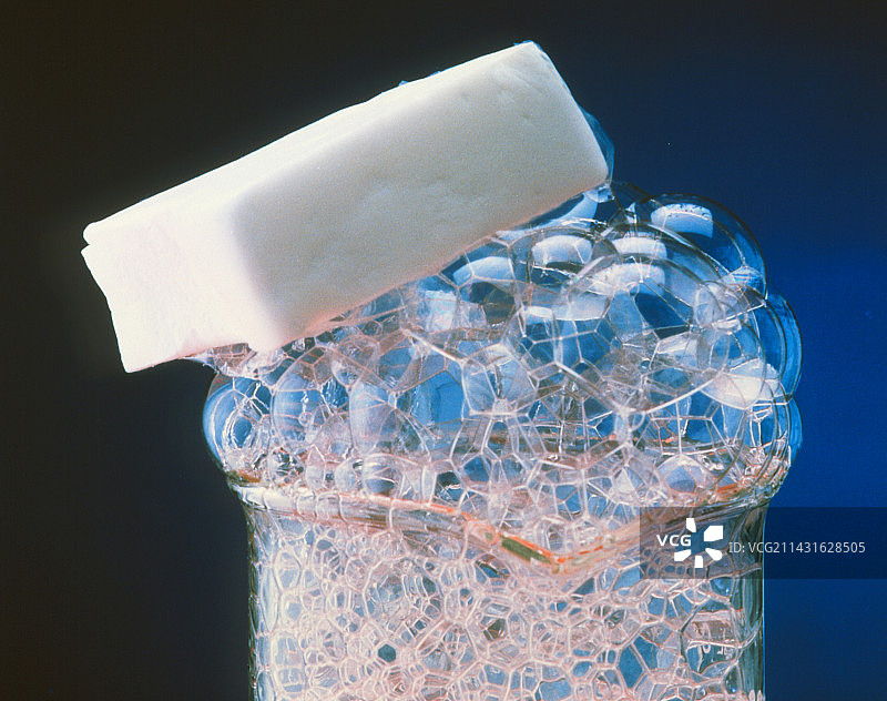 气泡上的海鸥图片素材