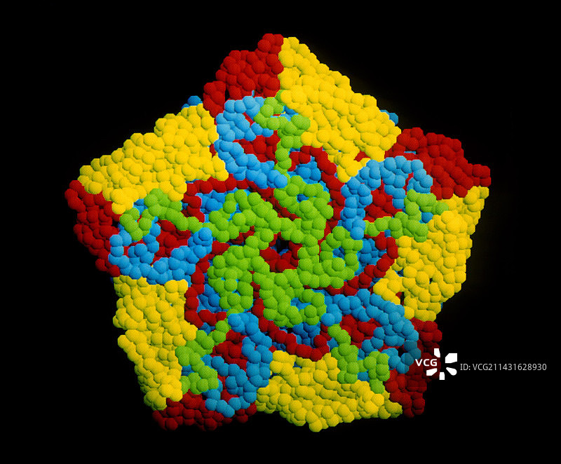 脊髓灰质炎病毒外壳蛋白分子图图片素材